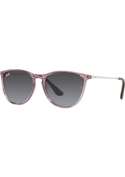 RJ 9060S 71078G 50 Güneş Gözlüğü