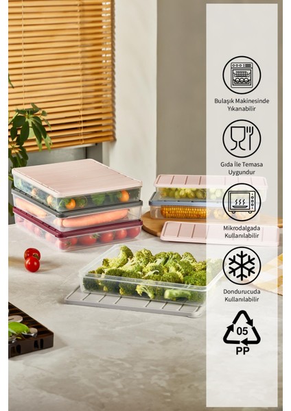 Nora Plastik Saklama Kabı 2×2,25 Lt Koku Sızdırma Önleyici Mikrodalga ve Buzdolabı Uyumlu