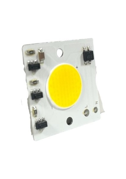 220VOLT 30 Watt Cob LED 30W Projektör Ledi Ray Spot Ledi Gün Işığı modelleri