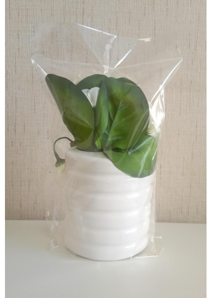 2 Adet Vazo Dahil,vazoda Çiçek,beyaz Yapay Çiçek,vazo Dekoratif Oval Çizgili 9X6X16CM fırsatları