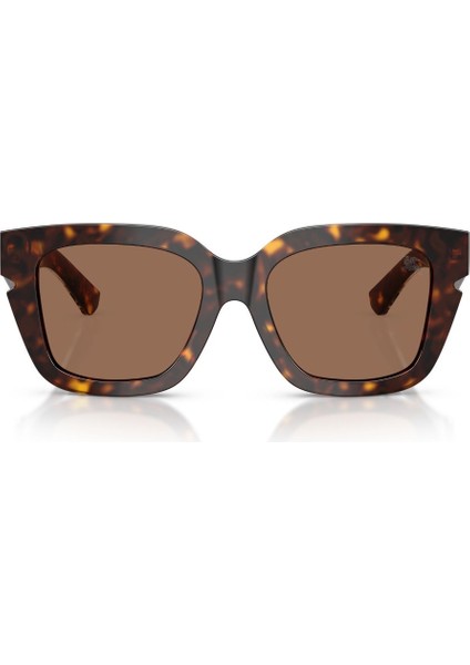 0BE 4453 300273 54 Kadın Güneş Gözlüğü