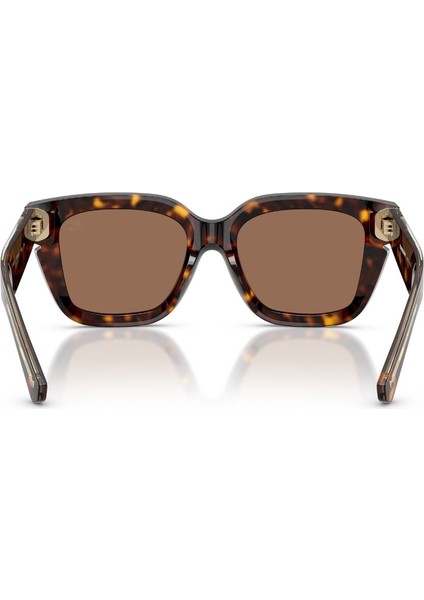 0BE 4453 300273 54 Kadın Güneş Gözlüğü fırsatları