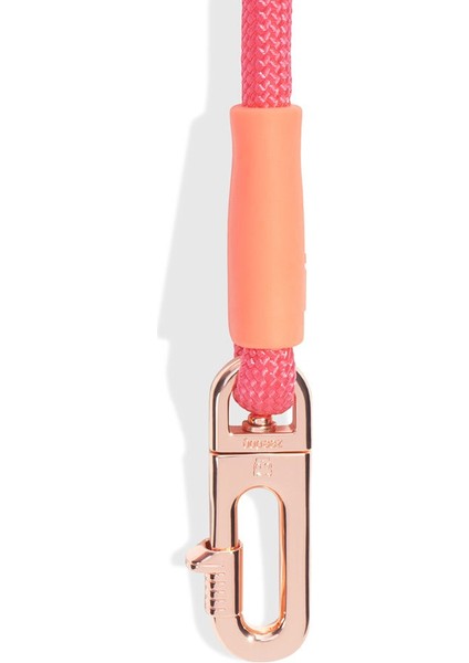 Gazelle Handsfree Halat Gezdirme Tasması - Zee.dog