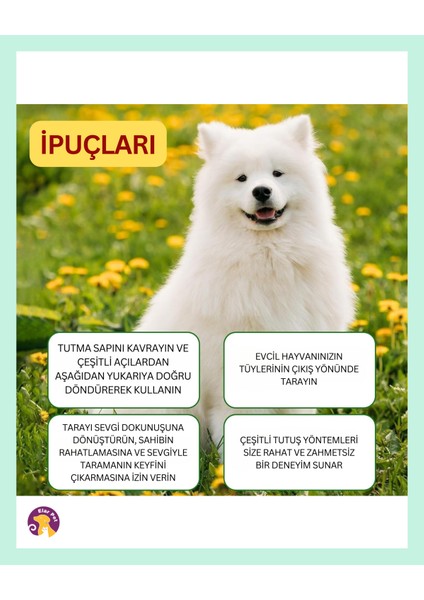 Kedi ve Köpek Için Pire Tarağı – Parazit ve Kene Önleyici Tarak Seti (Mavi)