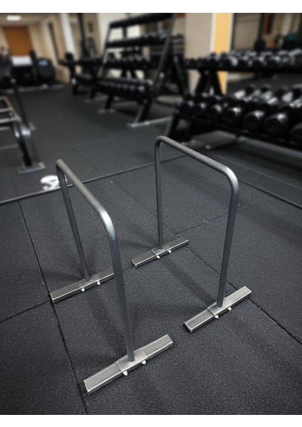 Large Paralette – Fonksiyonel Spor Aleti fiyatları