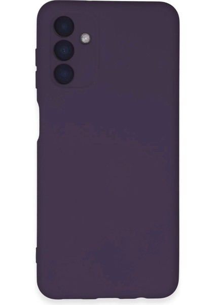 Newface Samsung Galaxy A24 4g Kılıf Nano Içi Kadife Silikon - Mor