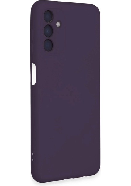 Newface Samsung Galaxy A24 4g Kılıf Nano Içi Kadife Silikon - Mor fiyatları
