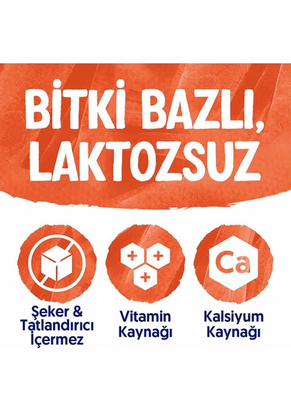 Badem Sütü 4x1 lt Şekersiz Vegan Laktozsuz Belçika Üretimi Bitkisel İçecek