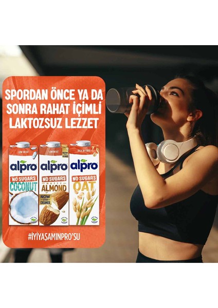 Badem Sütü 4x1 lt Şekersiz Vegan Laktozsuz Belçika Üretimi Bitkisel İçecek