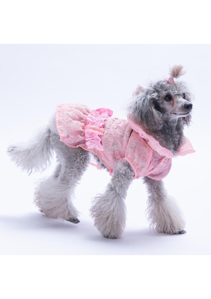 Pembe Valencia Çiçek Desenli Elbise Kedi Köpek Elbisesi - Kedi Köpek Kıyafeti modelleri
