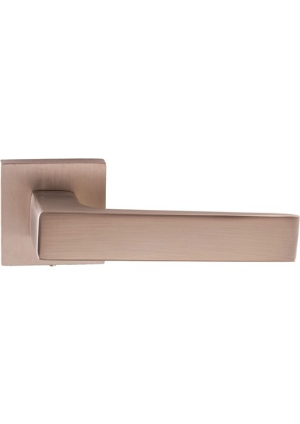 Adnoss Erkul Paytak Inox Kapı Kolu (Wc)