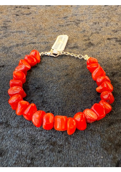 Mercan Amorf modelleri