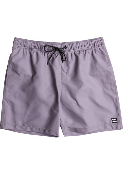 All Day Lb Erkek Gri Volley Short fiyatları