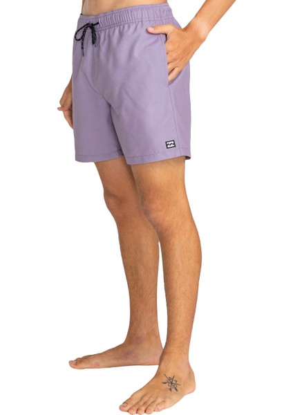 All Day Lb Erkek Gri Volley Short fırsatları