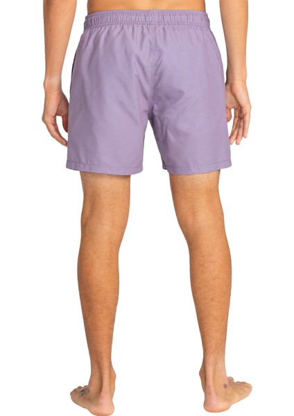 All Day Lb Erkek Gri Volley Short