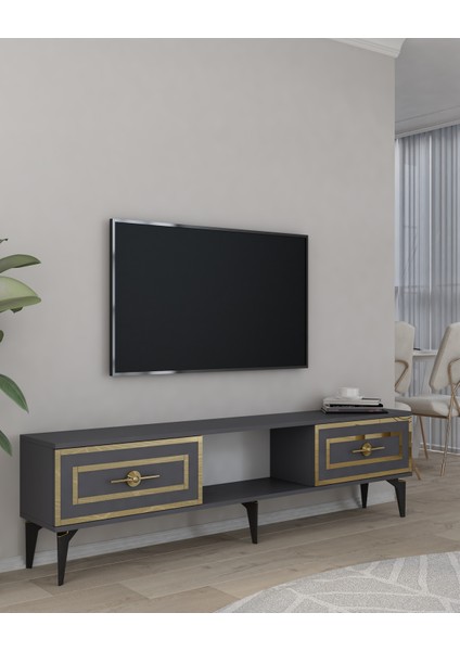 Violadd Tv Sehpası Antrasit-Altın fiyatları
