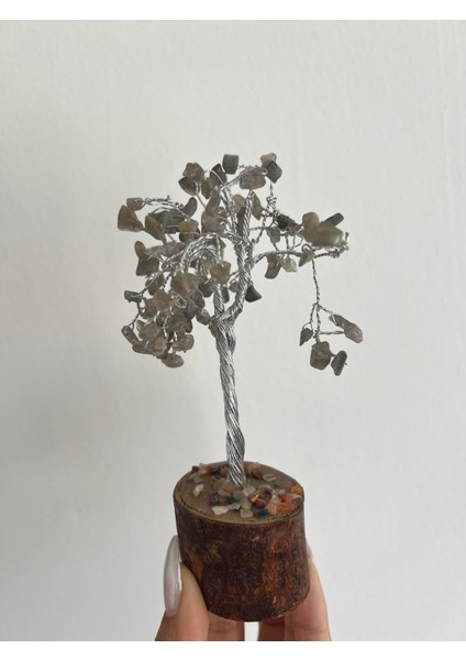 Labrodorit Doğaltaş Ağaç Farkındalık-Sezgi