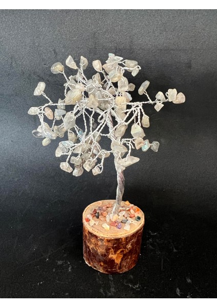 Labrodorit Doğaltaş Ağaç Farkındalık-Sezgi modelleri