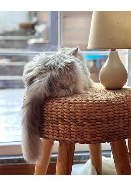 Su Sümbülü Tabure – 50 cm El Yapımı Puf & Masif Ahşap Ayaklı Sehpa Doğal Su Sümbülü Puf – 50 cm Dekoratif Tabure & Çok Amaçlı Kullanım modelleri