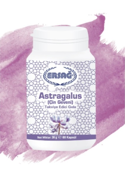 Astragalus Çin Geveni