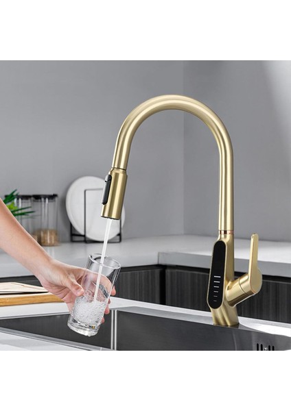 Mutfak Evye Bataryası Dijital Su Arıtma Çıkışlı Spiralli ve Fiskiyeli 7 Yıl Garanti Ithal Mat Gold