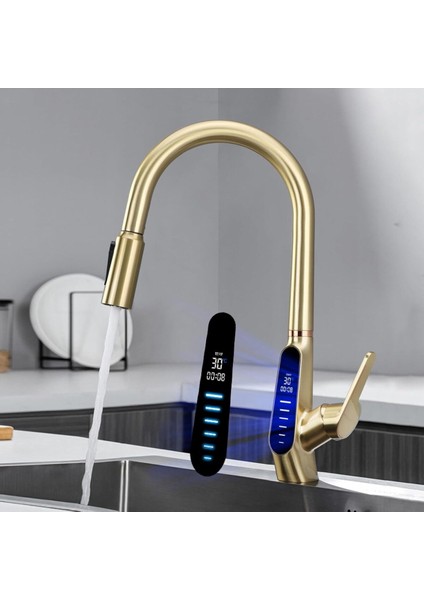 Mutfak Evye Bataryası Dijital Su Arıtma Çıkışlı Spiralli ve Fiskiyeli 7 Yıl Garanti Ithal Mat Gold fiyatları