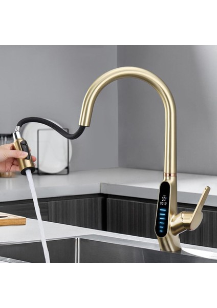 Mutfak Evye Bataryası Dijital Su Arıtma Çıkışlı Spiralli ve Fiskiyeli 7 Yıl Garanti Ithal Mat Gold fırsatları