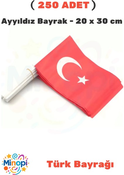 ( 250 Adet ) Vatan Battal Boy Çıtalı Kağıt Türk Bayrağı Ay Yıldız Bayrak 20 x 30 cm