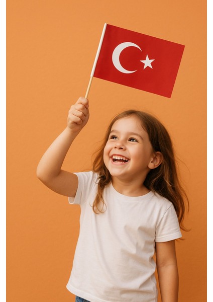 ( 100 Adet ) Vatan Küçük Boy Çıtalı Kağıt Türk Bayrağı Ay Yıldız Bayrak 12 x 20 cm fırsatları