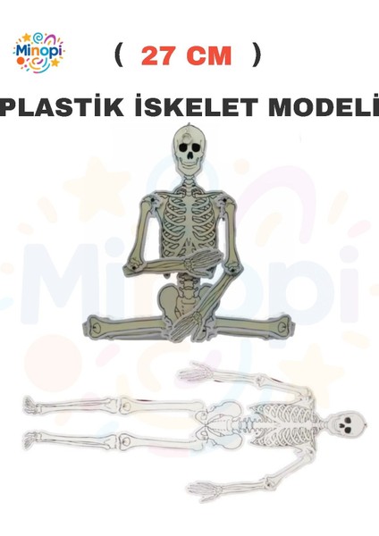 Hareketli Iskelet Modeli Beyaz Iskelet Modeli Deney Fen Hobi Tasarım