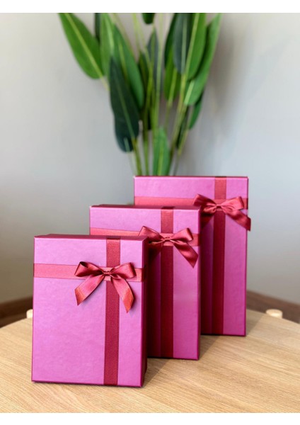 Dekoratif Fuşya Fiyonklu 3 Lü Hediye Kutusu Seti Sert Mukavva