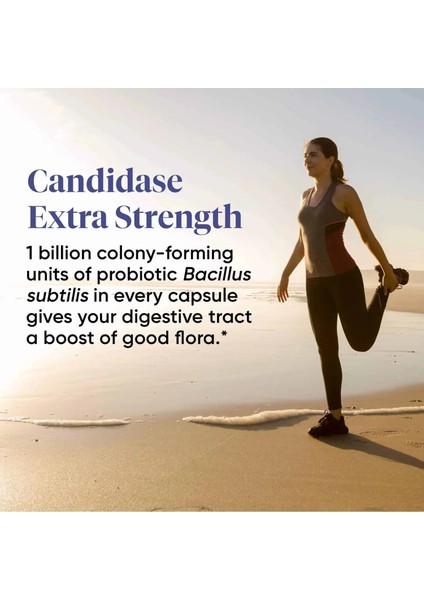 Candidase Enzyme Candida Enzim Sindirim Candida Kandida Cellulase Protease Thera Bağırsak Intestinal fırsatları