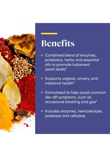 Candidase Enzyme Candida Enzim Sindirim Candida Kandida Cellulase Protease Thera Bağırsak Intestinal indirimleri