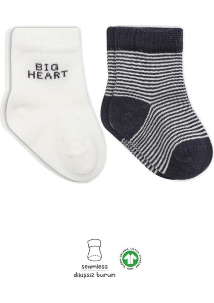 Bistyle Big Heart Penye Soket Çorap 2'li BS10117 Antrasit