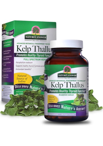 Kelp Whole1 00 Capsules Thallus 100 Laminariales Sodium Iodine Thyroid Sodyum Mineral İyot