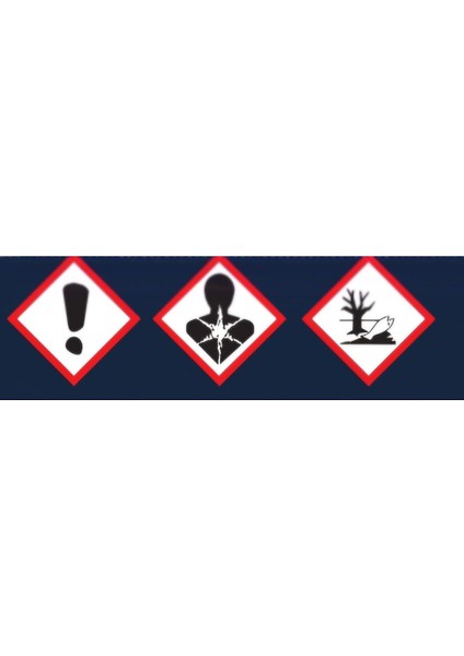 Benzinli Araç Yakıt Katkısı 300 ml Egzoz Sistemi Temizleyici fırsatları