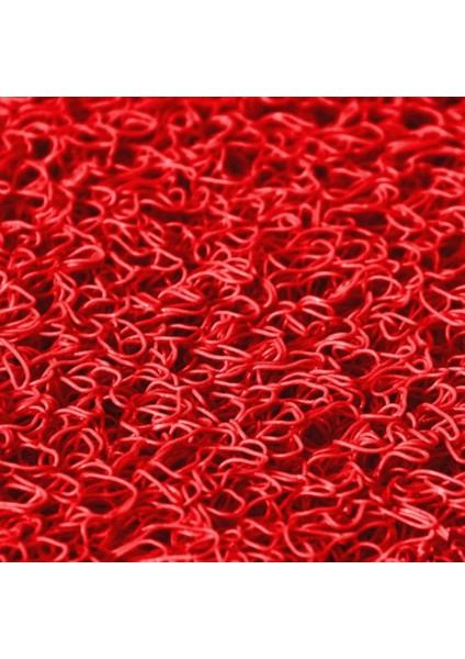 Beylin Kıvırcık Pvc Paspas Iç Dış Zemin Halı Yolluk Kapı Önü Havuz Banyo Duş Iş Yeri Apartman Paspası Kıvırcık Hijyenik Antibakteriyel Paspas Halı 12MM indirimleri