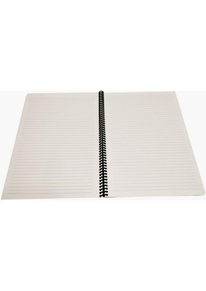 Flex Pastel Defter Pp Kapak Spiralli 80 Yp Çizgili 4 Lü Set fiyatları