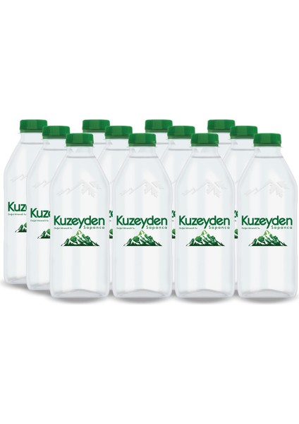 Premium Doğal Mineralli Su (12X400 Ml)
