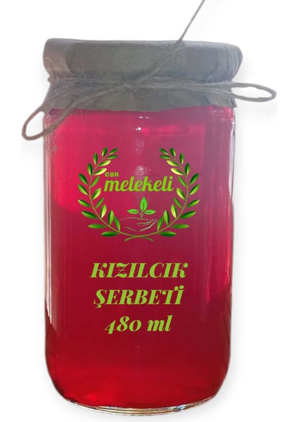Ev Yapımı Kızılcık Şerbeti 480ML