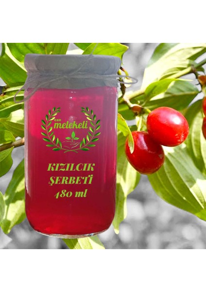 Ev Yapımı Kızılcık Şerbeti 480ML fiyatları