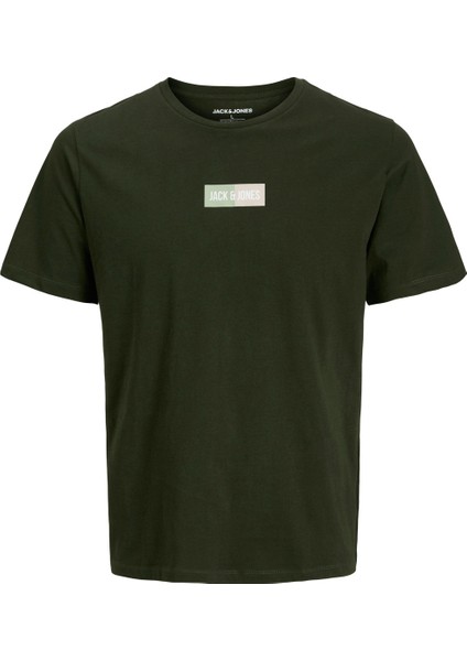 Jjpan Tee Ss Crew Neck Jn Haki Erkek Çocuk Kısa Kol T-Shirt fiyatları