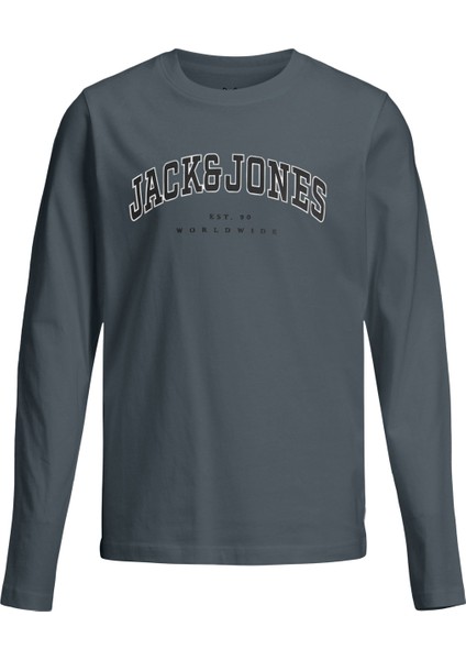 Jjecaleb Varsıty Tee Ls O Gri Erkek Çocuk Kısa Kol T-Shirt