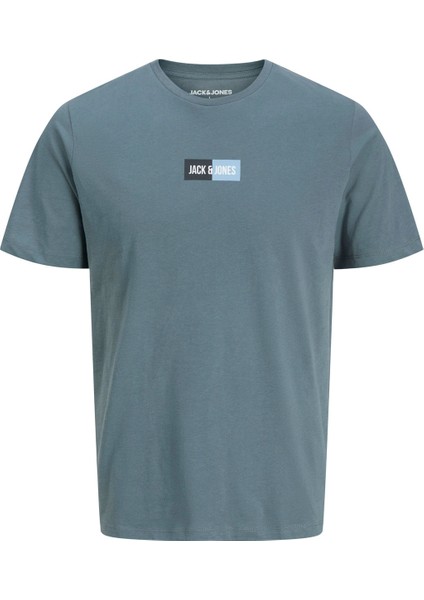 Jjpan Tee Ss Crew Neck Jn Grı Erkek Çocuk Kısa Kol T-Shirt fiyatları