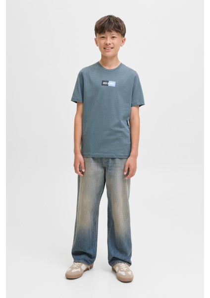 Jjpan Tee Ss Crew Neck Jn Grı Erkek Çocuk Kısa Kol T-Shirt fırsatları