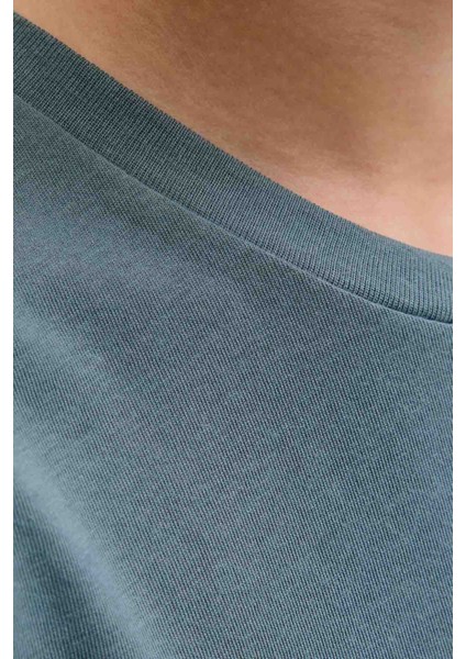 Jjpan Tee Ss Crew Neck Jn Grı Erkek Çocuk Kısa Kol T-Shirt