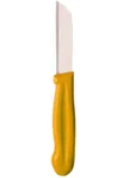 6'lı Meyve Bıçağı Seti - Paslanmaz Çelik 16 cm