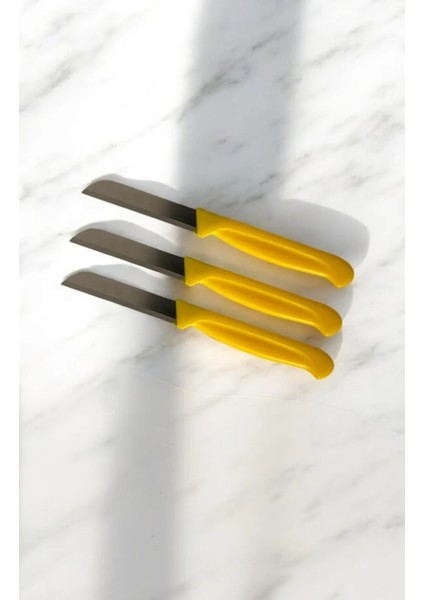 6'lı Meyve Bıçağı Seti - Paslanmaz Çelik 16 cm fiyatları