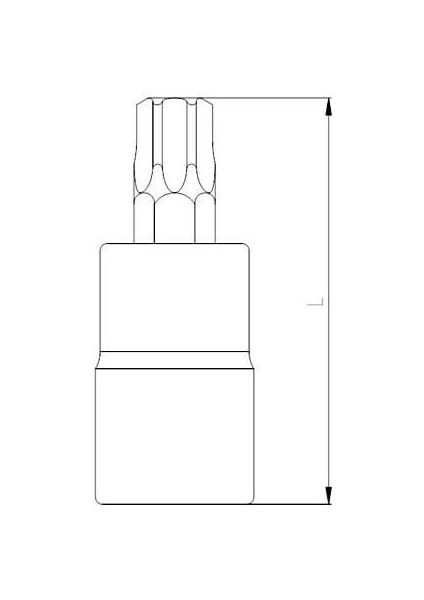 Izeltaş Lokmalı Star Torx Uç 1/2'' T25 fiyatları