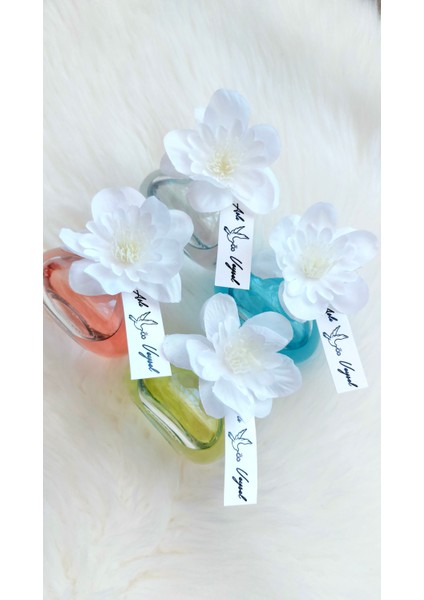 25 Adet Eyüp Sabri Tuncer Istiridye Kolonya Cam Şişe - Söz, Nişan, Nikah, Kına, Düğün, Doğum Günü, Yeni Doğan, Sünnet, Mevlid ve Özel Günler Için Hediyelik - Renkler: Şeffaf, Mavi, Pembe, Yeşil, Mor